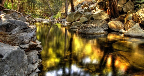 Rivulet-Landscape-570