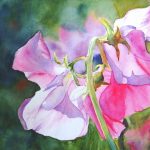 Sringtime at Springhalls