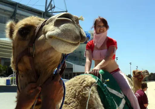 Melbourne Cup Luncheon and Camel Races