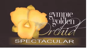 Gympie Golden Orchid Spectacular