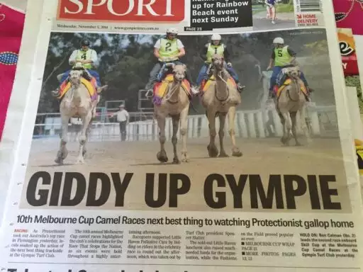 Gympie Camel Races